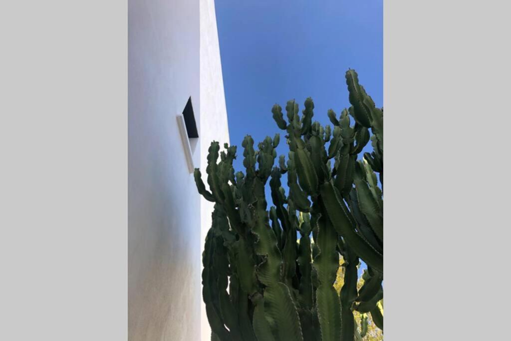 厄尔·坎皮洛·德·罗达尔Casa Granado En Cabo De Gata别墅 外观 照片